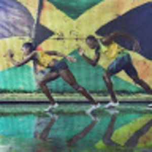 Meet your Posher, Sadie